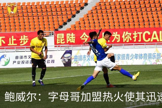 鲍威尔：字母哥加盟热火使其迅速具备争冠实力