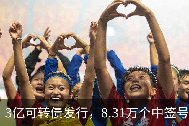 3亿可转债发行，8.31万个中签号引发市场热议
