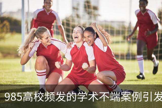 985高校频发的学术不端案例引发关注